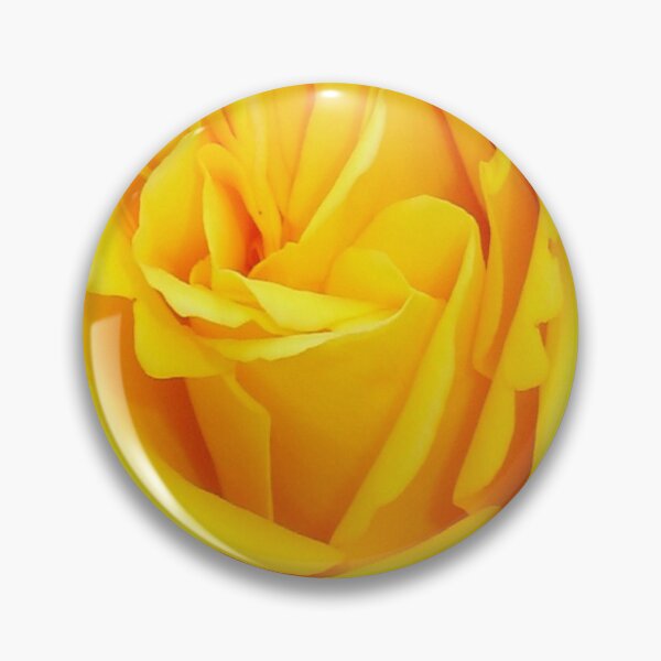 Item preview, Beautiful Yellow Rose Closeup Photograph designed and sold by taiche.