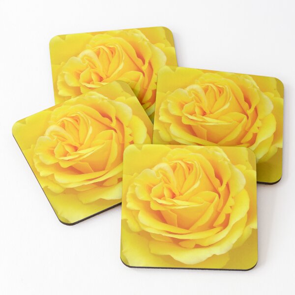 Aperçu de l'œuvre Gros plan d'une magnifique rose jaune créée et vendue par taiche.
