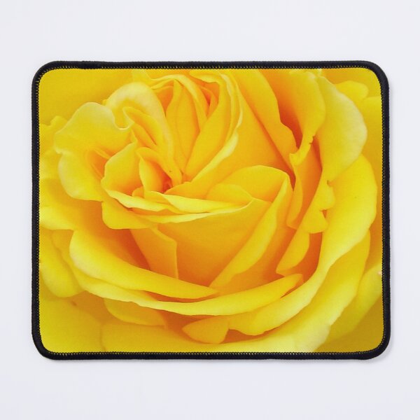 Item preview, Beautiful Yellow Rose Closeup Photograph designed and sold by taiche.