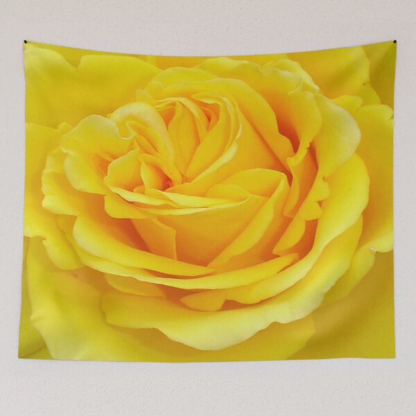 Item preview, Beautiful Yellow Rose Closeup Photograph designed and sold by taiche.