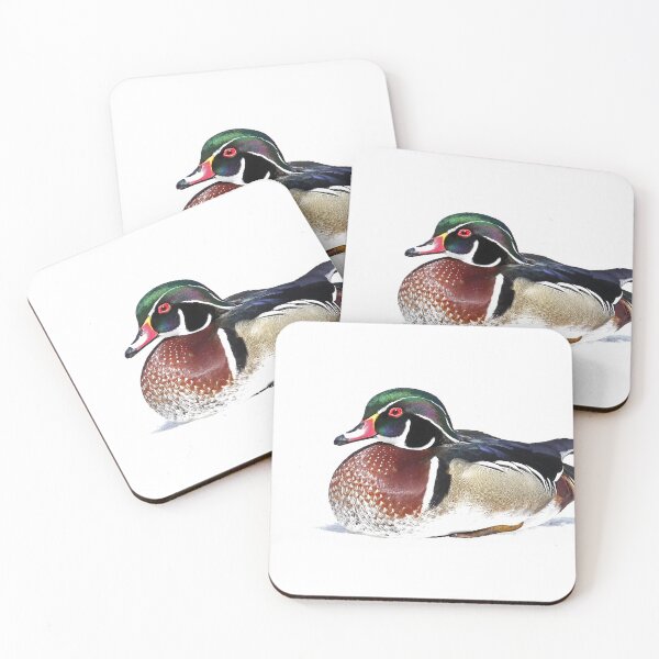 Item preview, Wood Duck on ice designed and sold by James Cumming.