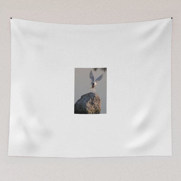 Item preview, Have fish, will land - Common Tern designed and sold by James Cumming.