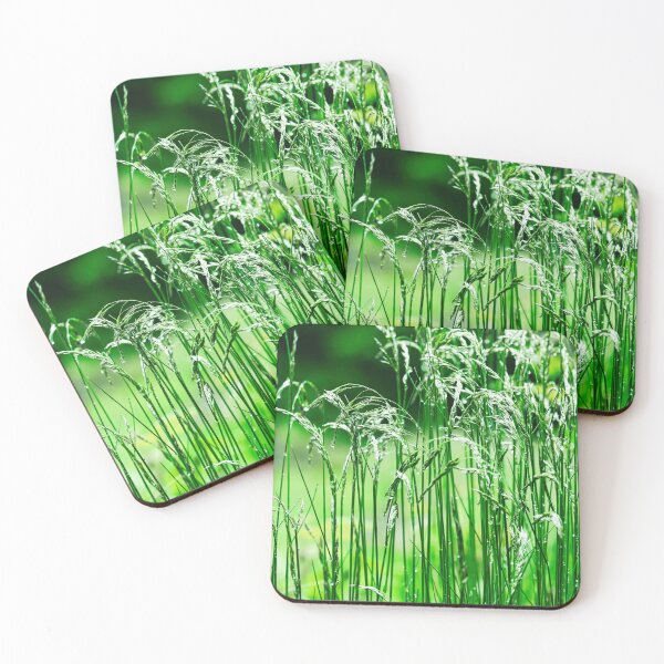 Item preview, Morning dew on green ears of grass. designed and sold by NaturePhotography.