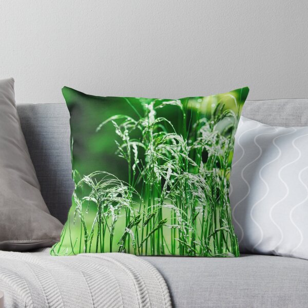 Item preview, Morning dew on green ears of grass. designed and sold by NaturePhotography.