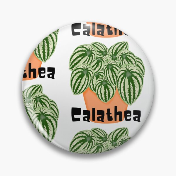 Item preview, Calathea_1 designed and sold by PlantSholic.