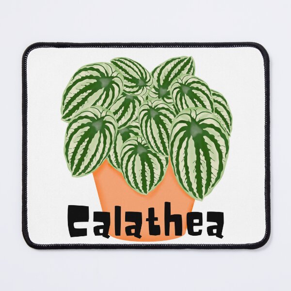 Item preview, Calathea_1 designed and sold by PlantSholic.