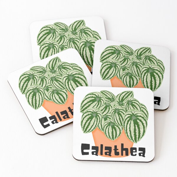 Item preview, Calathea_1 designed and sold by PlantSholic.