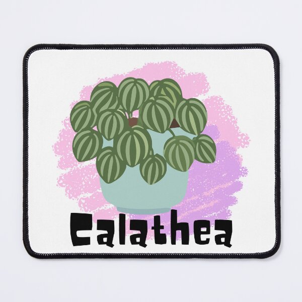 Item preview, Calathea_2 designed and sold by PlantSholic.