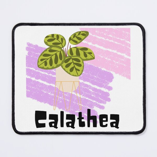 Item preview, Calathea_3 designed and sold by PlantSholic.