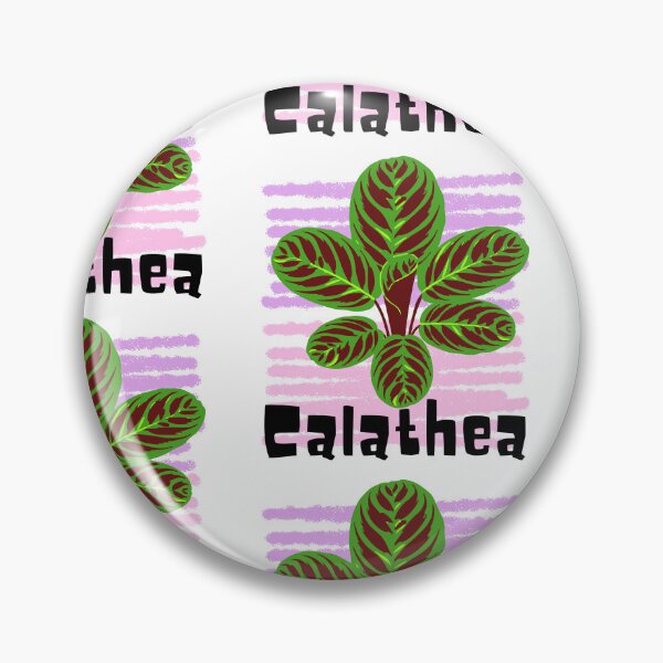Item preview, Calathea_4 designed and sold by PlantSholic.