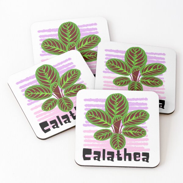 Item preview, Calathea_4 designed and sold by PlantSholic.