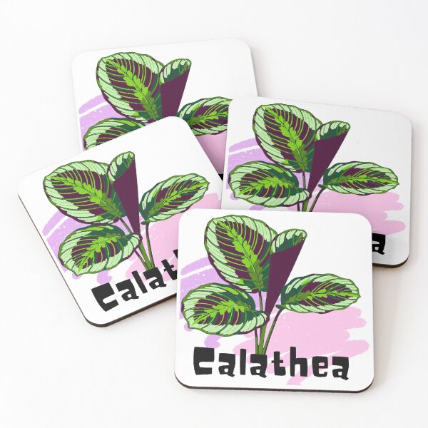 Item preview, Calathea_5 designed and sold by PlantSholic.