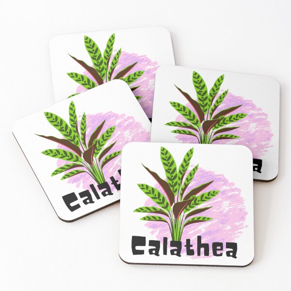 Item preview, Calathea_6 designed and sold by PlantSholic.