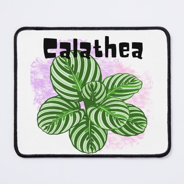 Item preview, Calathea_7 designed and sold by PlantSholic.