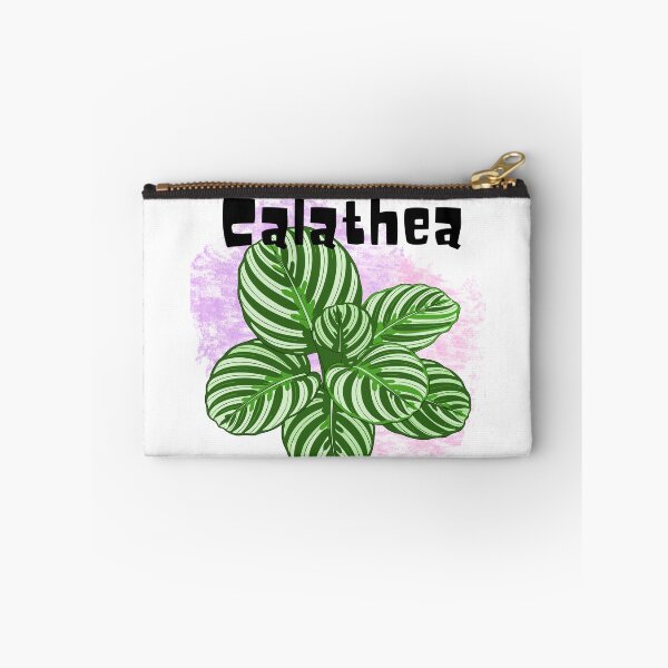 Item preview, Calathea_7 designed and sold by PlantSholic.