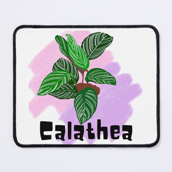 Item preview, Calathea_8 designed and sold by PlantSholic.