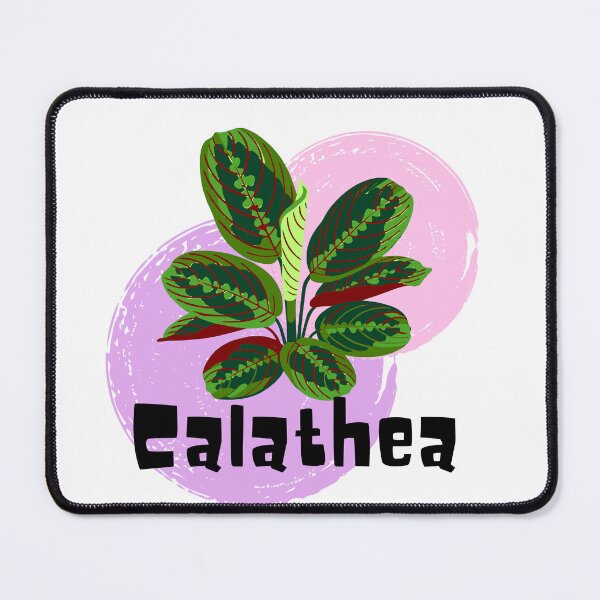 Item preview, Calathea_9 designed and sold by PlantSholic.