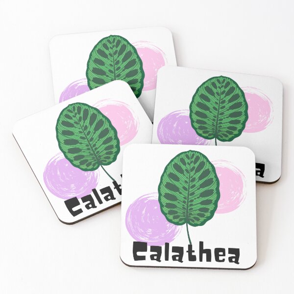 Item preview, Calathea_10 designed and sold by PlantSholic.