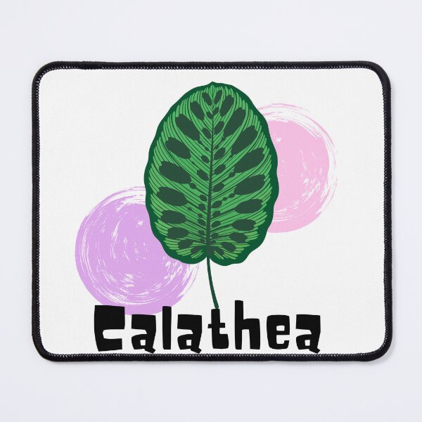 Item preview, Calathea_10 designed and sold by PlantSholic.