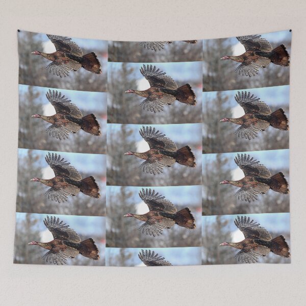 Item preview, Wild Turkey in flight designed and sold by James Cumming.