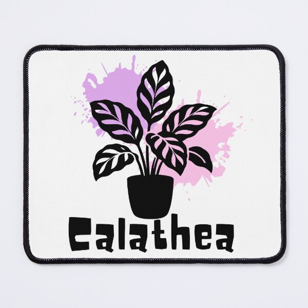 Item preview, Calathea_12 designed and sold by PlantSholic.