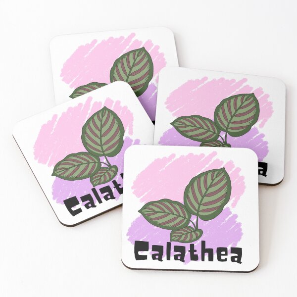 Item preview, Calathea_13 designed and sold by PlantSholic.