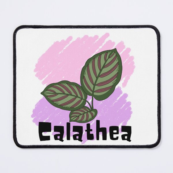Item preview, Calathea_13 designed and sold by PlantSholic.