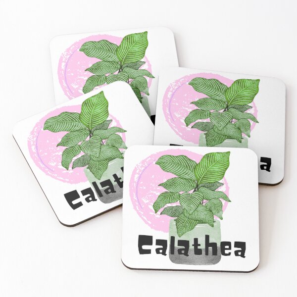 Item preview, Calathea_14 designed and sold by PlantSholic.