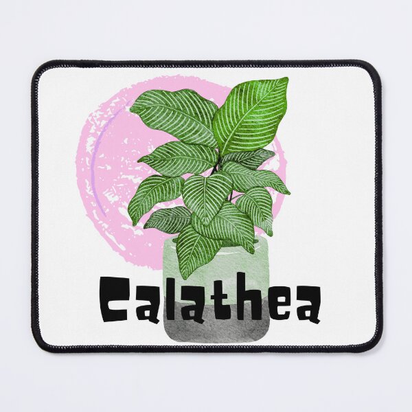 Item preview, Calathea_14 designed and sold by PlantSholic.
