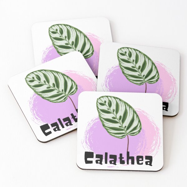 Item preview, Calathea_15 designed and sold by PlantSholic.