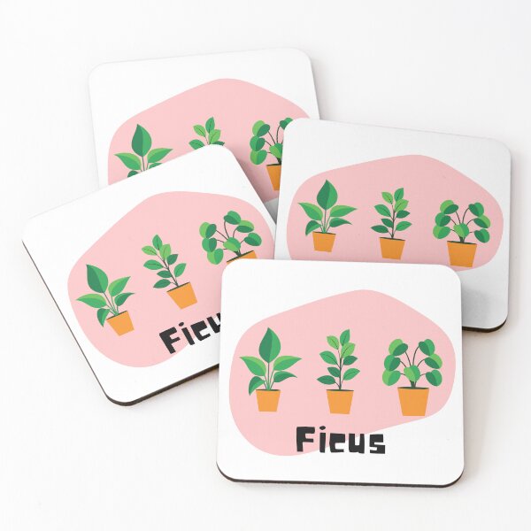 Item preview, Ficus_3 designed and sold by PlantSholic.