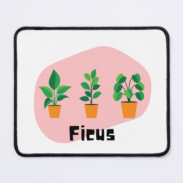 Item preview, Ficus_3 designed and sold by PlantSholic.