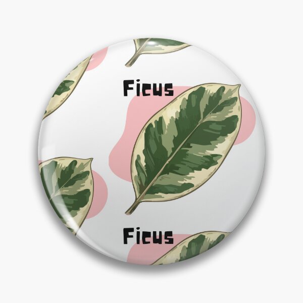 Item preview, Ficus_6 designed and sold by PlantSholic.