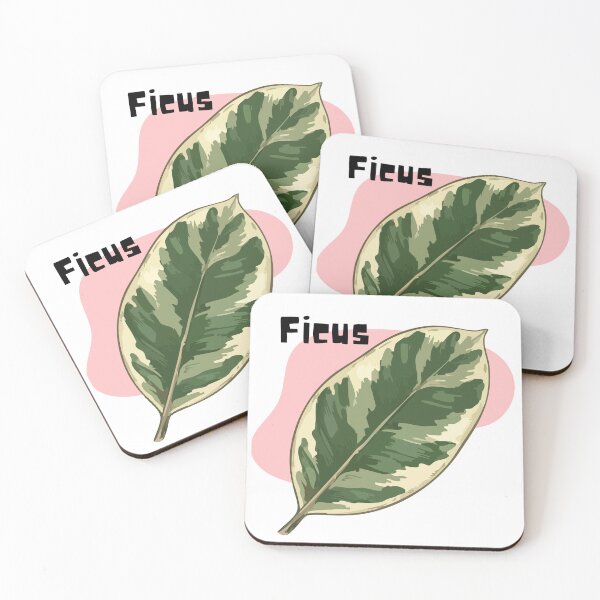 Item preview, Ficus_6 designed and sold by PlantSholic.