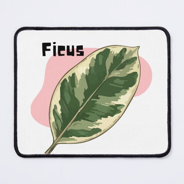 Item preview, Ficus_6 designed and sold by PlantSholic.