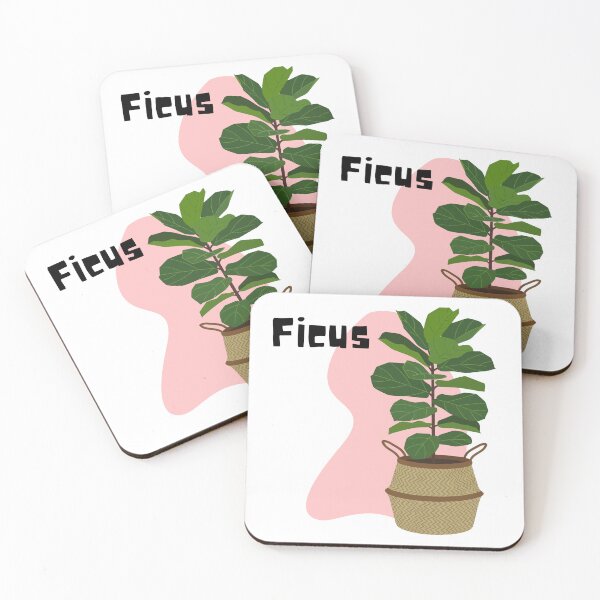 Item preview, Ficus_7 designed and sold by PlantSholic.