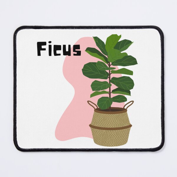 Item preview, Ficus_7 designed and sold by PlantSholic.