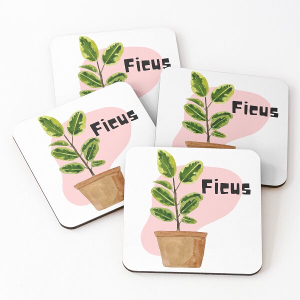 Item preview, Ficus_8 designed and sold by PlantSholic.