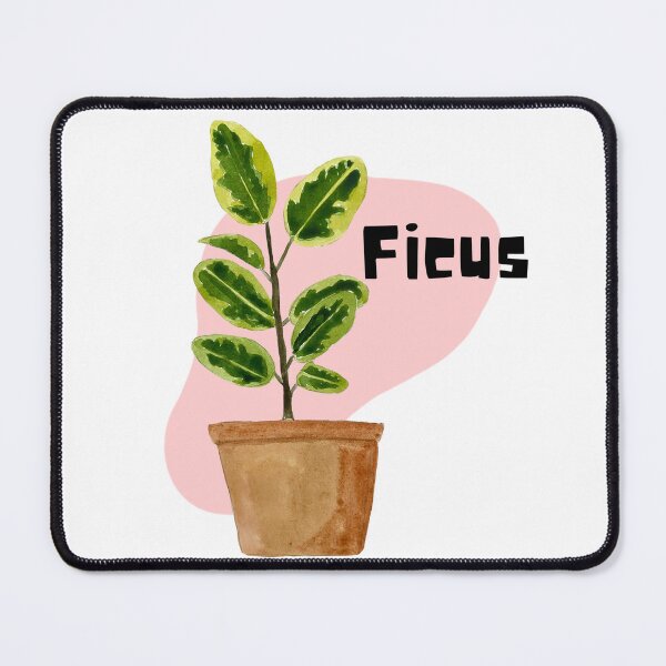 Item preview, Ficus_8 designed and sold by PlantSholic.