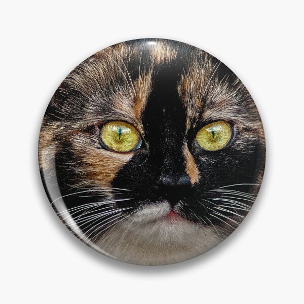 Item preview, Bella designed and sold by Anthony Hedger Photography.