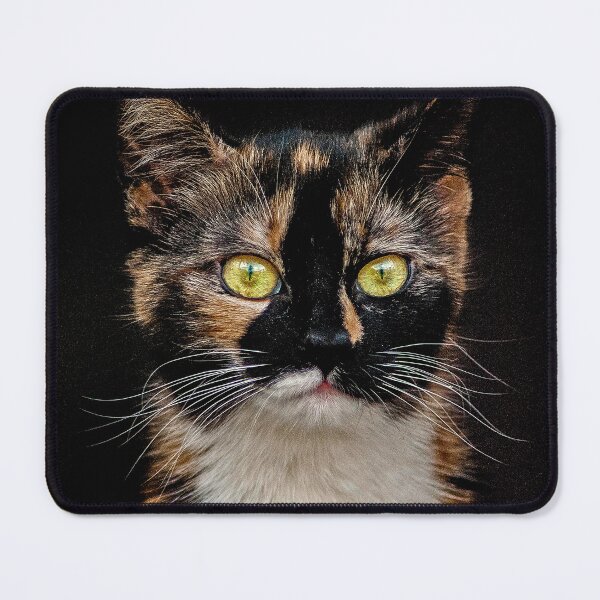 Item preview, Bella designed and sold by Anthony Hedger Photography.