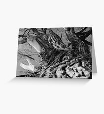 Ridges Greeting Card