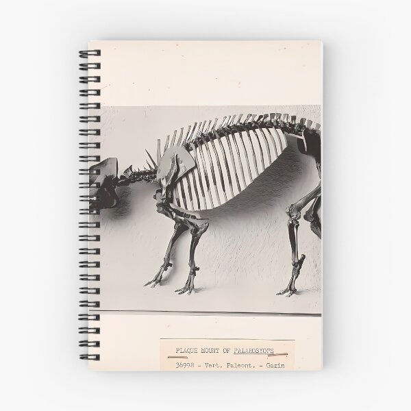 Item preview, Palaeosyops Skeleton Fossil | Skull Art designed and sold by GammaRay.