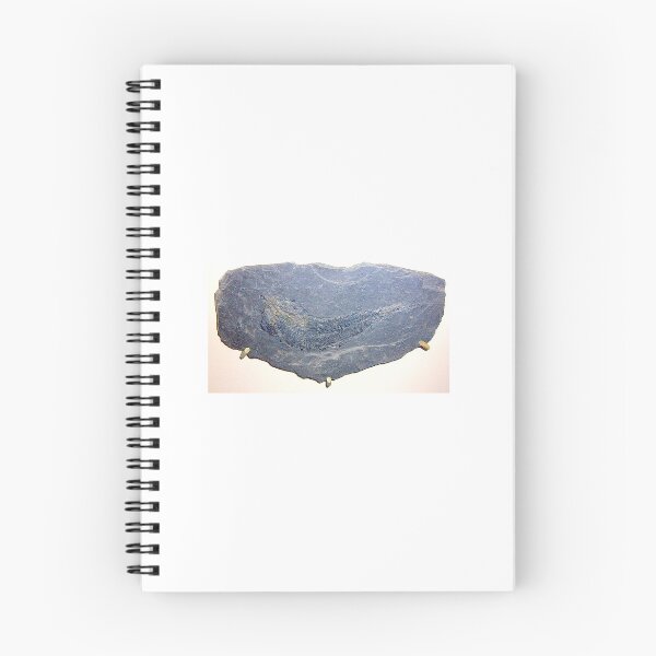 Item preview, Ancient Fish Drawing | Skull Art designed and sold by GammaRay.