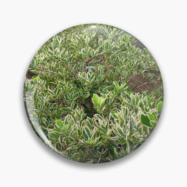 Item preview, Green Garden Shrub Nature designed and sold by PhuongVoArt.