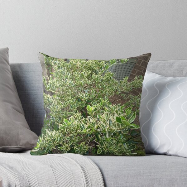 Item preview, Green Garden Shrub Nature designed and sold by PhuongVoArt.