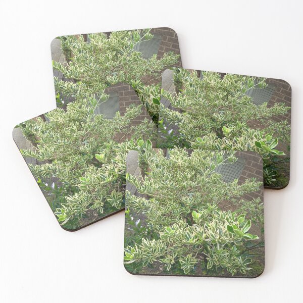 Artikelvorschau, Green Garden Shrub Nature entworfen und verkauft von PhuongVoArt.