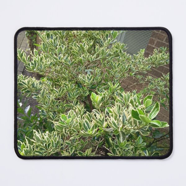 Item preview, Green Garden Shrub Nature designed and sold by PhuongVoArt.