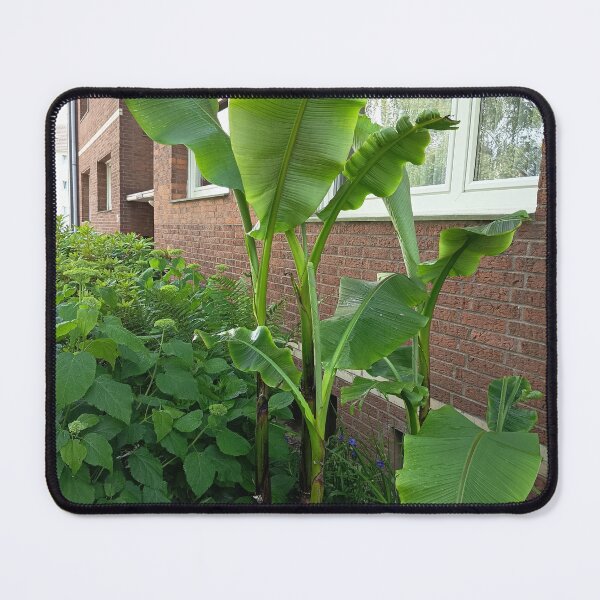 Item preview, Tropical Banana Plant Garden designed and sold by PhuongVoArt.