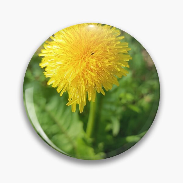 Artikelvorschau, Yellow Dandelion Flower Closeup entworfen und verkauft von PhuongVoArt.